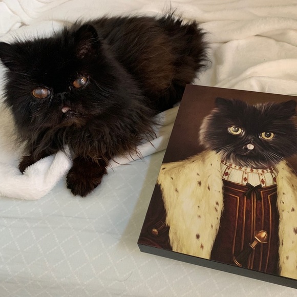 💛 - Picture 5 of 7